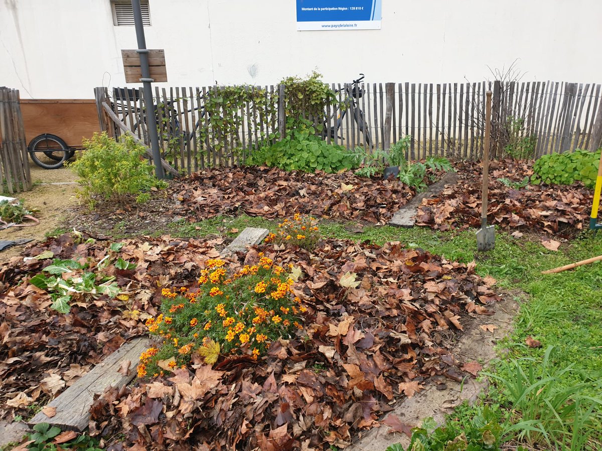 >>ENTRETIEN<< . . . QUE FAIRE AU JARDIN EN NOVEMBRE ? > Au jardin d’ornement > Au verger >Au potager A découvrir sur nos réseaux sociaux !