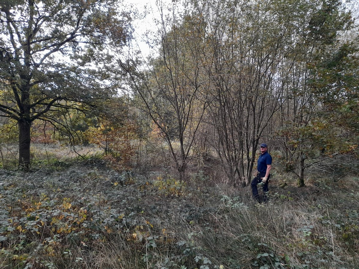 BlithfieldRes's tweet photo. Blithfield conservation #volunteers cleared around the ponds this week to allow light in and the hedge to keep dogs out. Some willow was used to repair the screen at Broompits bird feeding station. @WestMidBirdClub @SthStaffsWater https://t.co/KA3XBuyFJk