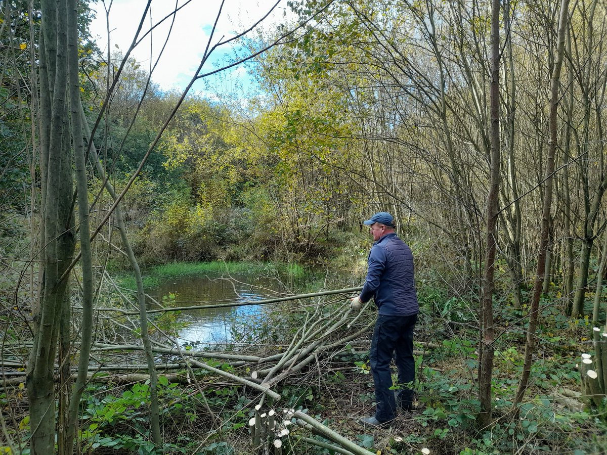 BlithfieldRes's tweet photo. Blithfield conservation #volunteers cleared around the ponds this week to allow light in and the hedge to keep dogs out. Some willow was used to repair the screen at Broompits bird feeding station. @WestMidBirdClub @SthStaffsWater https://t.co/KA3XBuyFJk