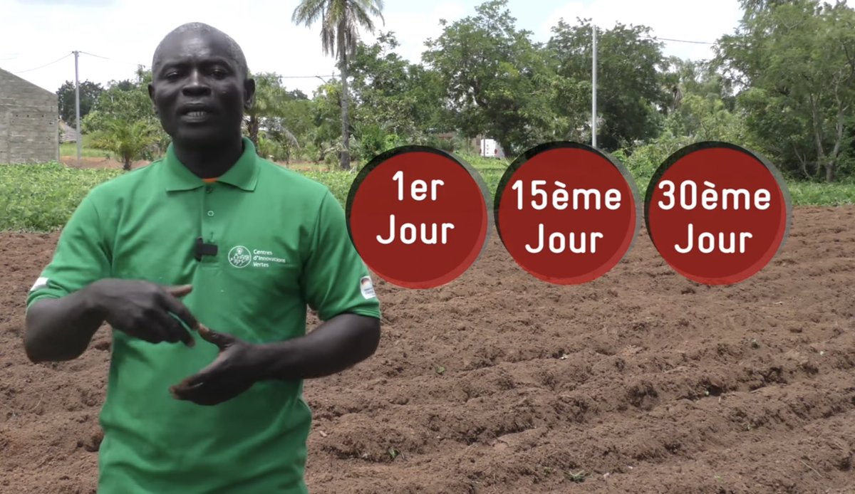 IngeBaumgarten's tweet image. Une agriculture durable: 
c’est l’engagement d 🇹🇬🇩🇪- la #GIZ &amp;amp; partenaires #CIDAP, @AgricultureTg.

En savoir plus sur une pratique climato-intelligente adaptée aux réalités du #Togo 👇🏽
« Innover pour restaurer la fertilité des sols dégradés » youtu.be/vcyuLAA9VWo?si… via @YouTube