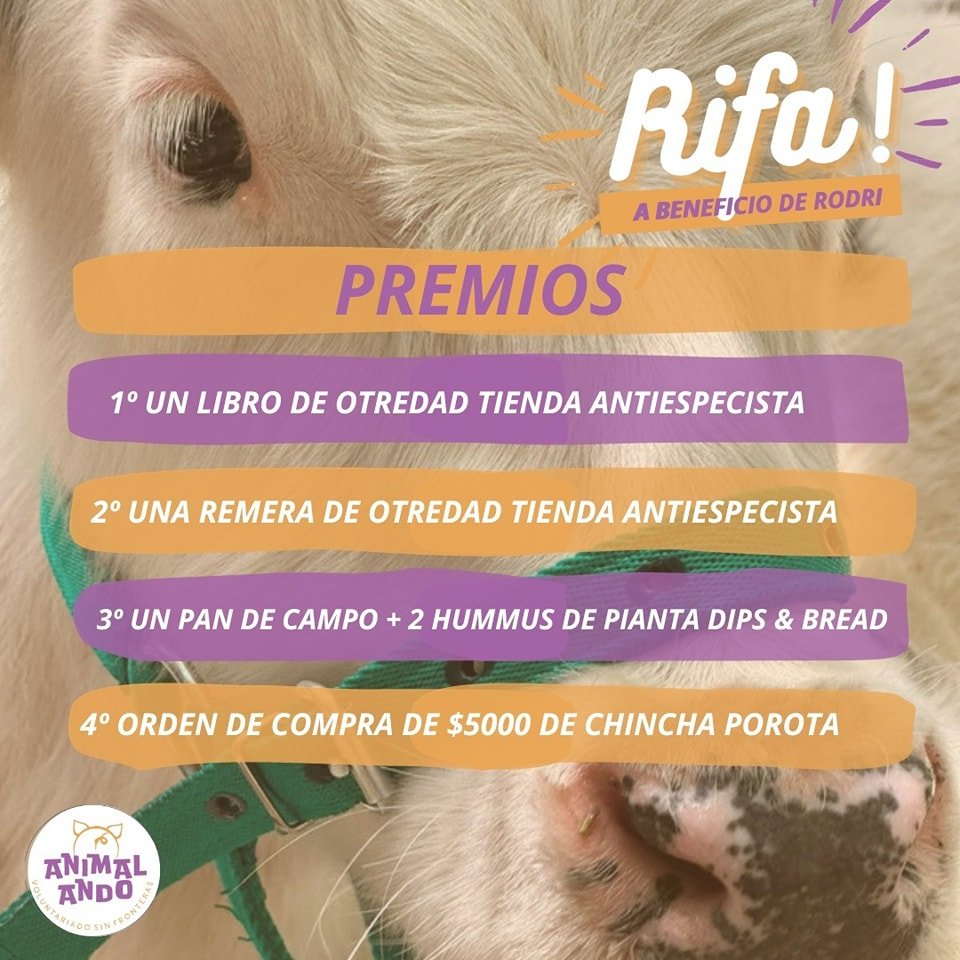 ANTIESPECISTA ROSARIO tweet media