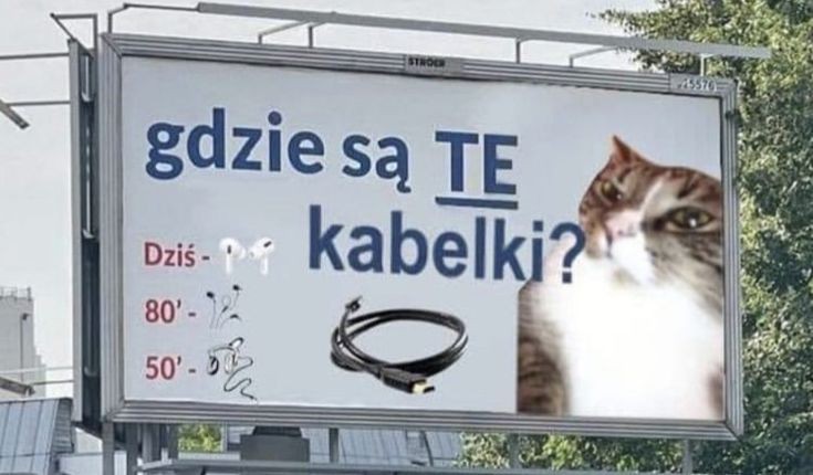 Tukubus's tweet photo. Gdzie one są? https://t.co/iP2dexnGFi