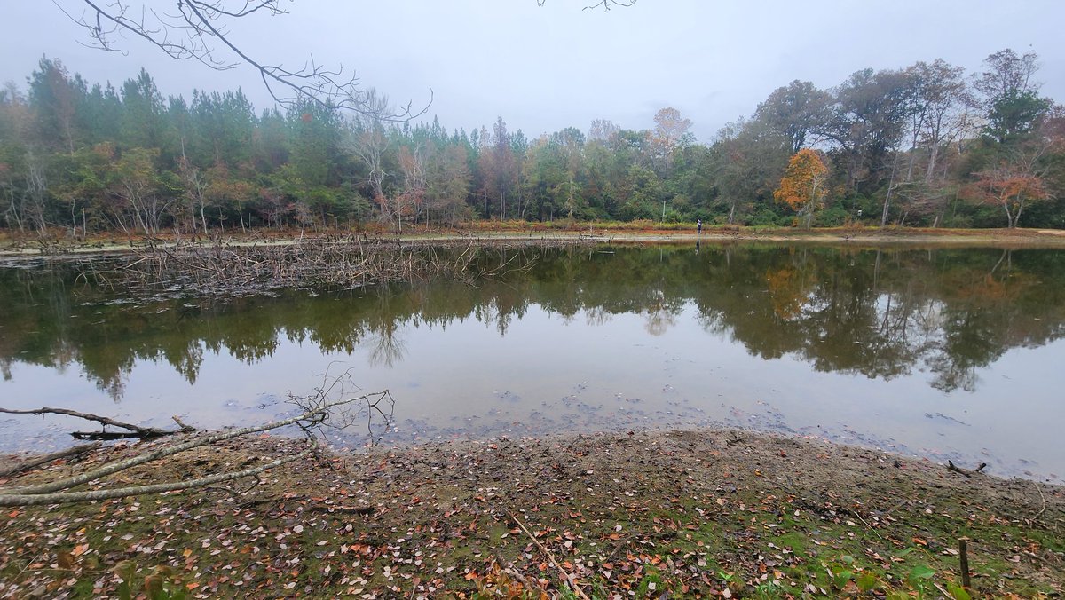 TC Nipper tweet media