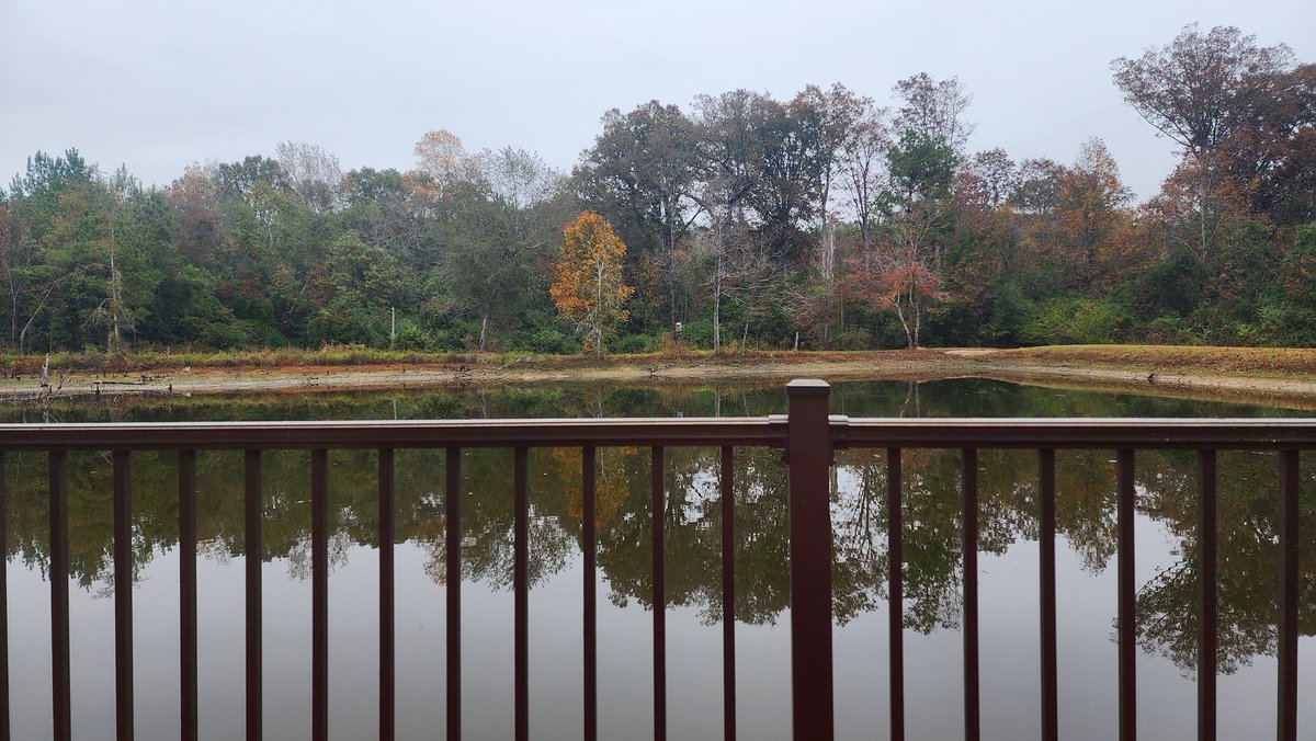 TC Nipper tweet media