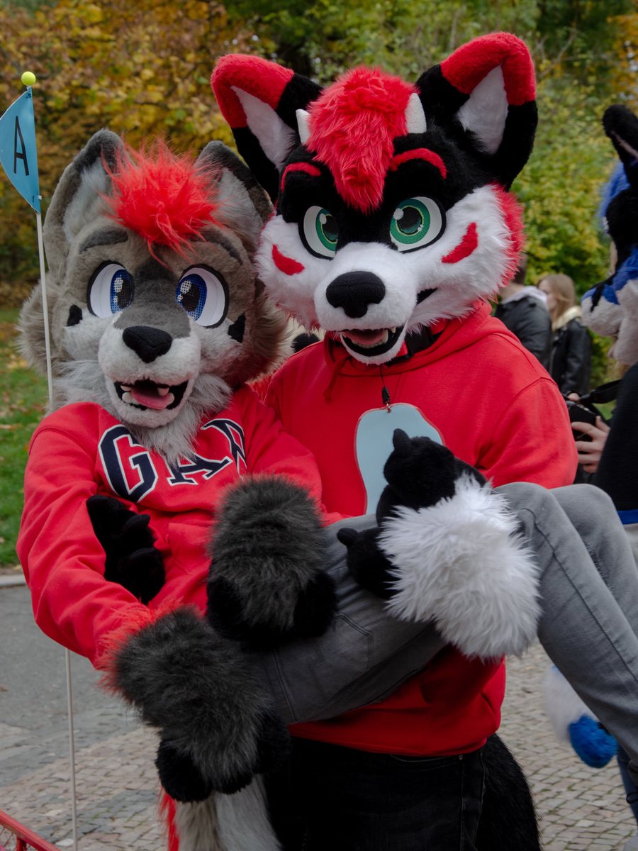 I let this cutie pick me up.. Just this one time! 👀😇

🐺 <a href="/RubyDrolf/">Ruby</a> 
📸 <a href="/_gleepy_/">Gleepy</a> 

#furry #fursuitfriday #fursuiter #fursuit #furrycommunity