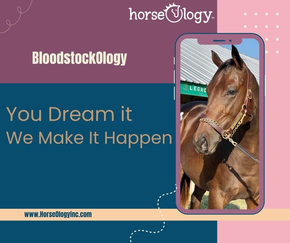 horse_ology's tweet image. Have an Ologist by your side! Need another set of eyes to help make your final decision? Or just want to run your favorite horses by us!? Call 855-HORSIES today to make it happen #bloodstockadvisor #pinhooking #horseOlogy