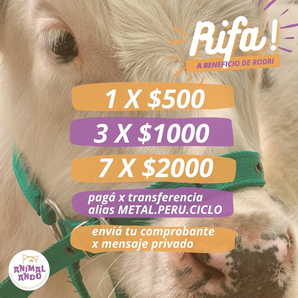 ANTIESPECISTA ROSARIO tweet media