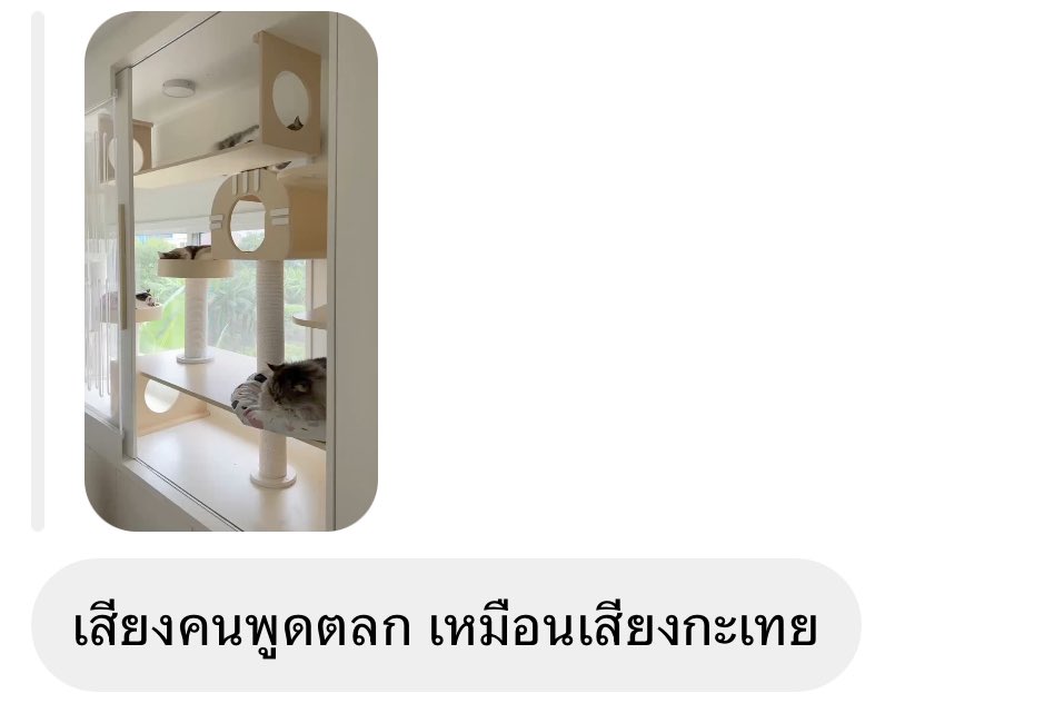 DNVP 💋 (Malonfamily) tweet media