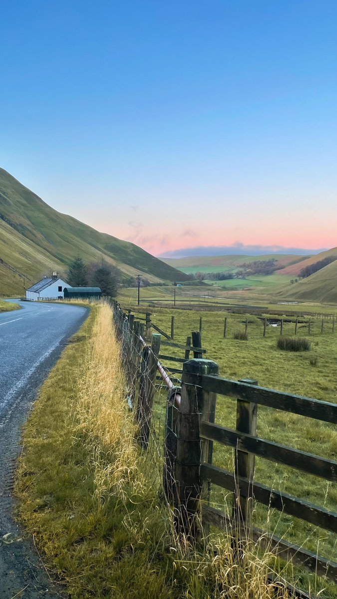 Adella@Wilsonphotography tweet media