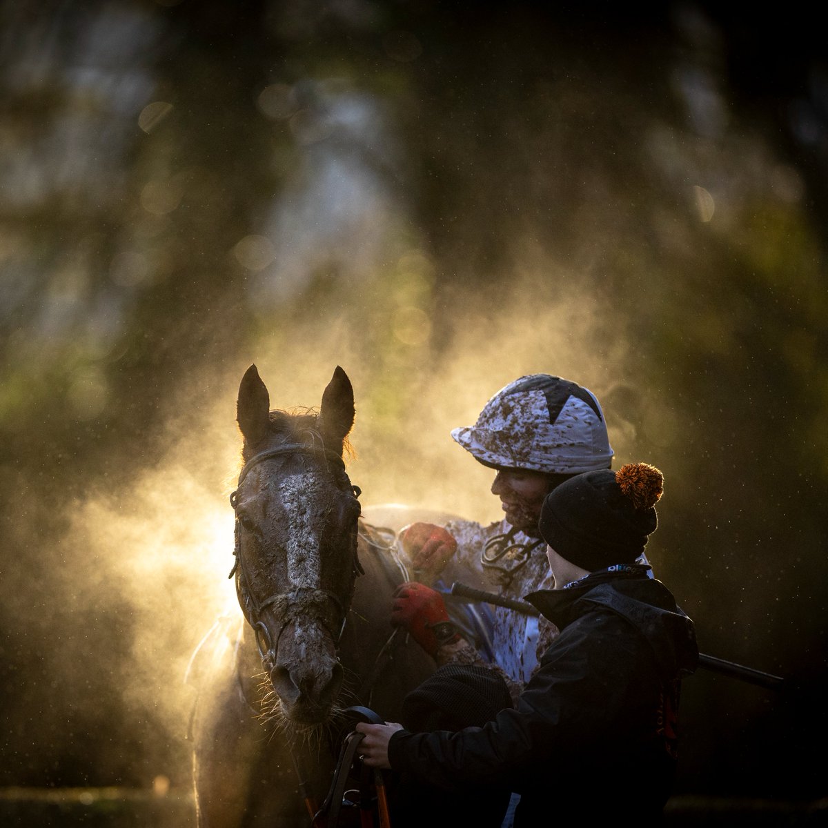 Steam rising from a runner yesterday at Clonmel 🐎📸

(📷 <a href="/patrickmccannrp/">Patrick McCann</a>)