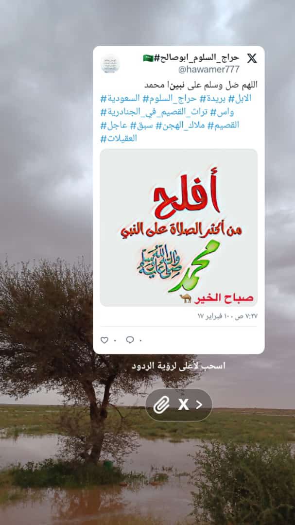 موسوعة الابل العربية🇸🇦 (@camelm777) on Twitter photo 