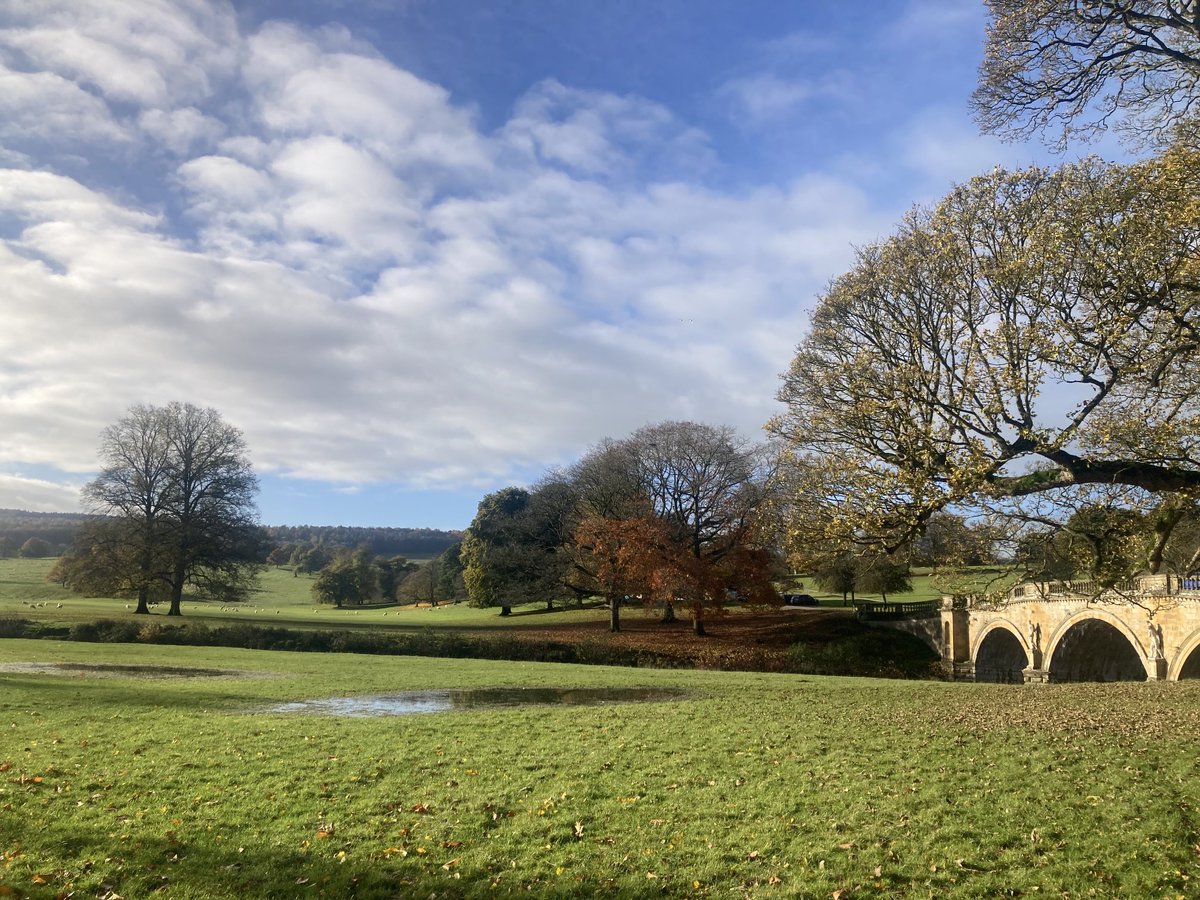 Green gold and glorious at Chatsworth Park this week 🧡🌳