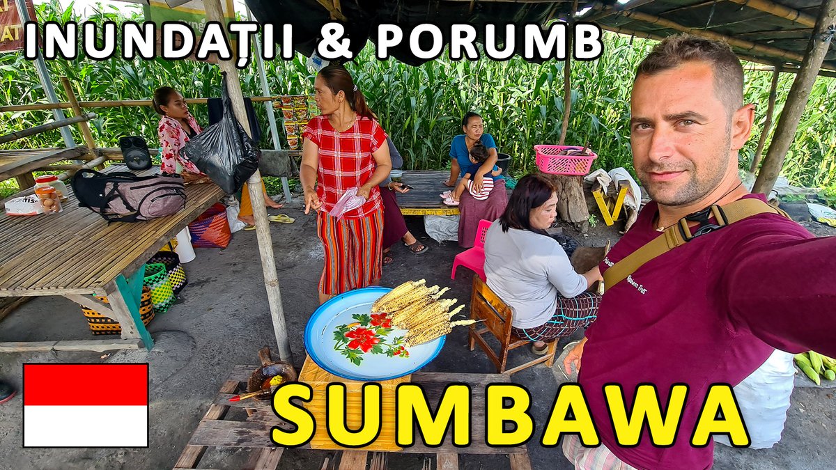 LINK VIDEO: youtu.be/xzjqyRcy7lw
Ziua 4: Legatura dintre porumb și inundații, pe insula Sumbawa, în roadtrip-ul prin Indonezia
🌍🎥🇮🇩 🛵🌅🌴🏝⛰🕶
#roadtrip #trip #indonesiatrip #2roti #indonezia #indonesia #sumbawa #insula #sumbawaisland #sumbawabesar #dompu #labuanjambu