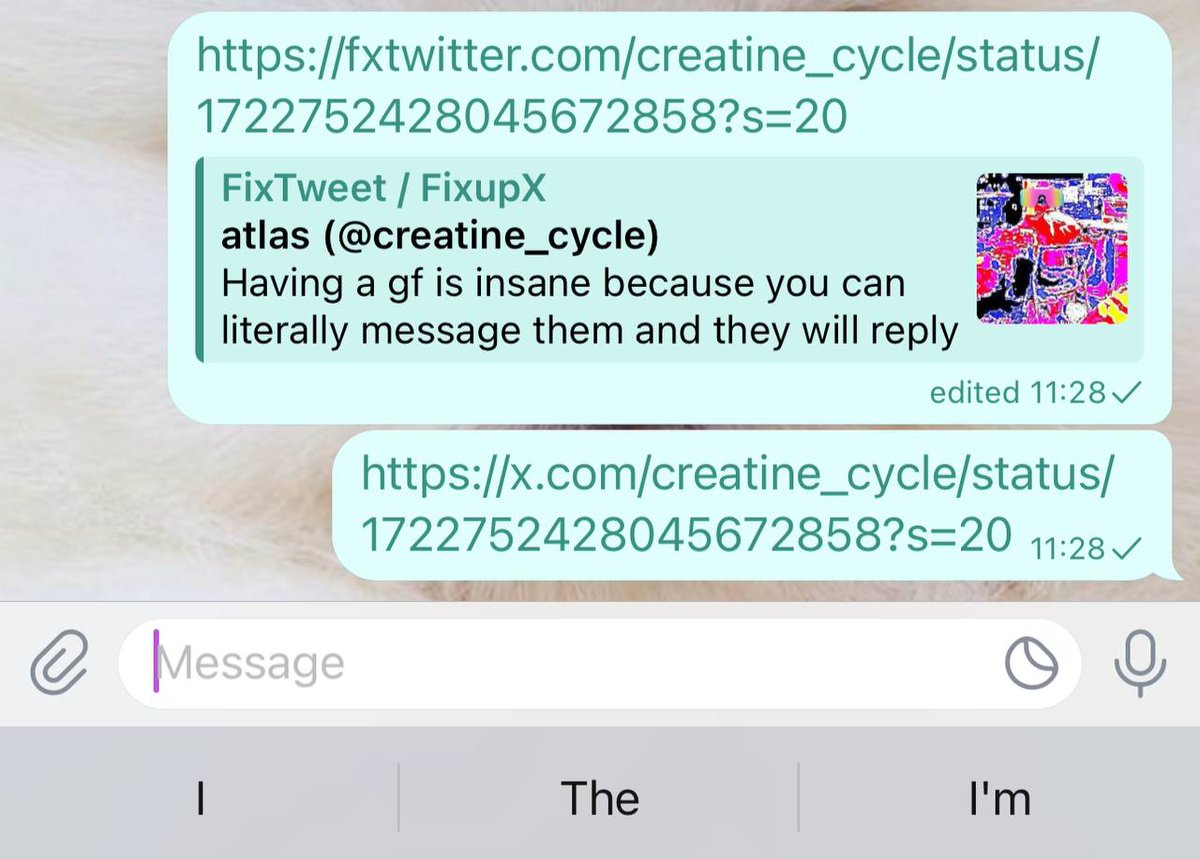 levelsio's tweet photo. I wish @elonmusk and @durov would chat and work together because they're my two idols in terms of entrepreneurs

Both very alt thinking, Telegram and X are highly philosophically aligned I think, remember Durov is a refugee from the Russian regime (which most Americans don't know)

One thing they could start to fix is link sharing of X links on Telegram

It's been a year and we still have to manually edit the X URL to use fxtwitter just to unfurl

@ehikian @evanstnlyjones

Other stuff interesting would be to use Telegram's chat interface for X, it has the best UX UI of all chat apps and almost a billion users

I'm sure Durov looks up to Elon too and would love to at least chat