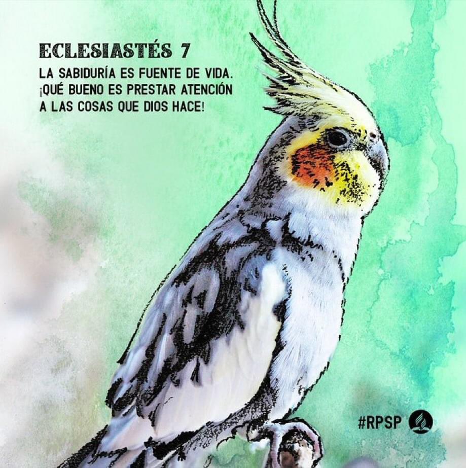 #RPSP Eclesiastés 7
#PrimeroDios

“Puedes ponerte a la sombra de la sabiduría o a la sombra del dinero, pero la sabiduría tiene la ventaja de dar vida a quien la posee” v. 12