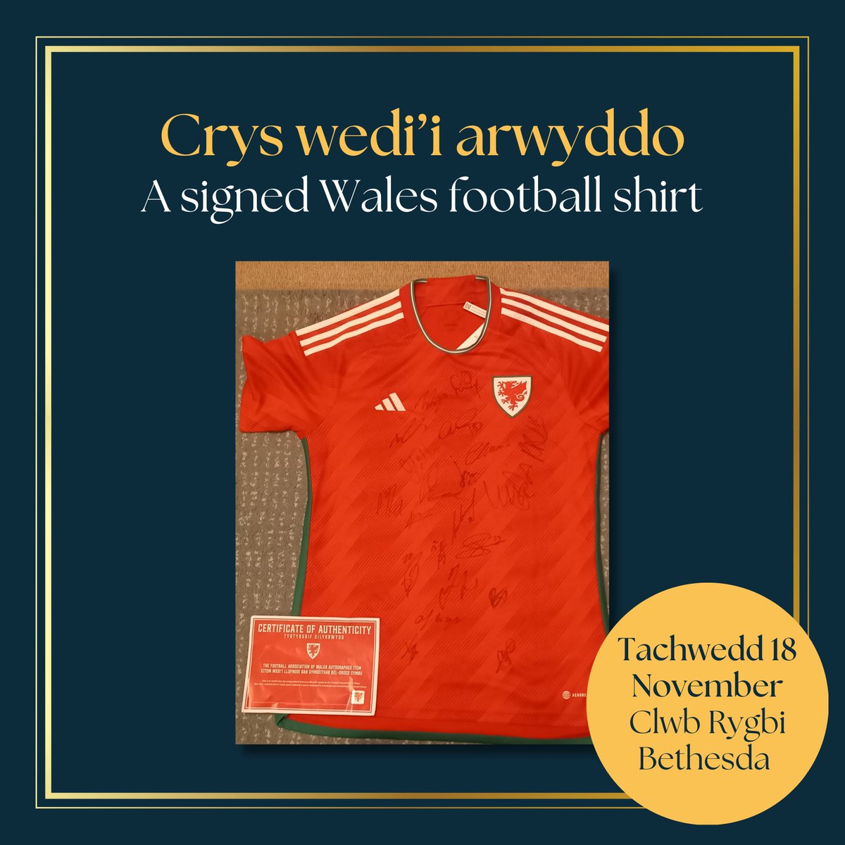 Plaid Cymru Gwynedd Maldwyn tweet media
