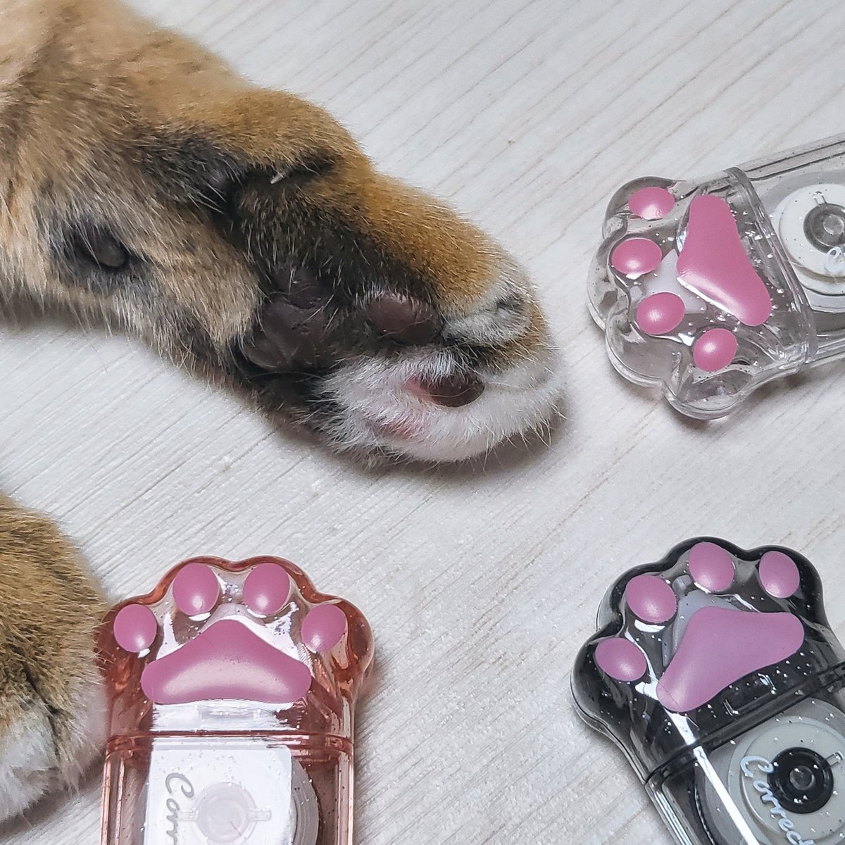 수정테이프를 샀는데요