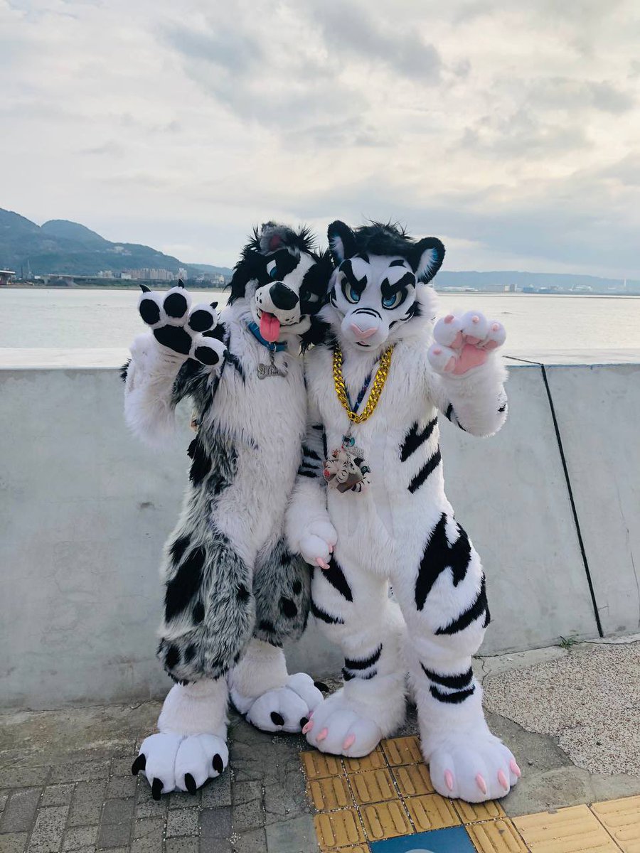 白虎 BaiHu (@whitetigertw) on Twitter photo ◼️&◻️
◼️◻️🐶:<a href="/TripECollie/">Poster Boy for Social Deviance</a>
📸:<a href="/furvodka4179/">Vodka X Topo next UTFG!</a>
✂️:<a href="/BK_fursuit/">BK Fursuit</a>
#FursuitFriday ◼️&◻️
◼️◻️🐶:<a href="/TripECollie/">Poster Boy for Social Deviance</a>
📸:<a href="/furvodka4179/">Vodka X Topo next UTFG!</a>
✂️:<a href="/BK_fursuit/">BK Fursuit</a>
#FursuitFriday