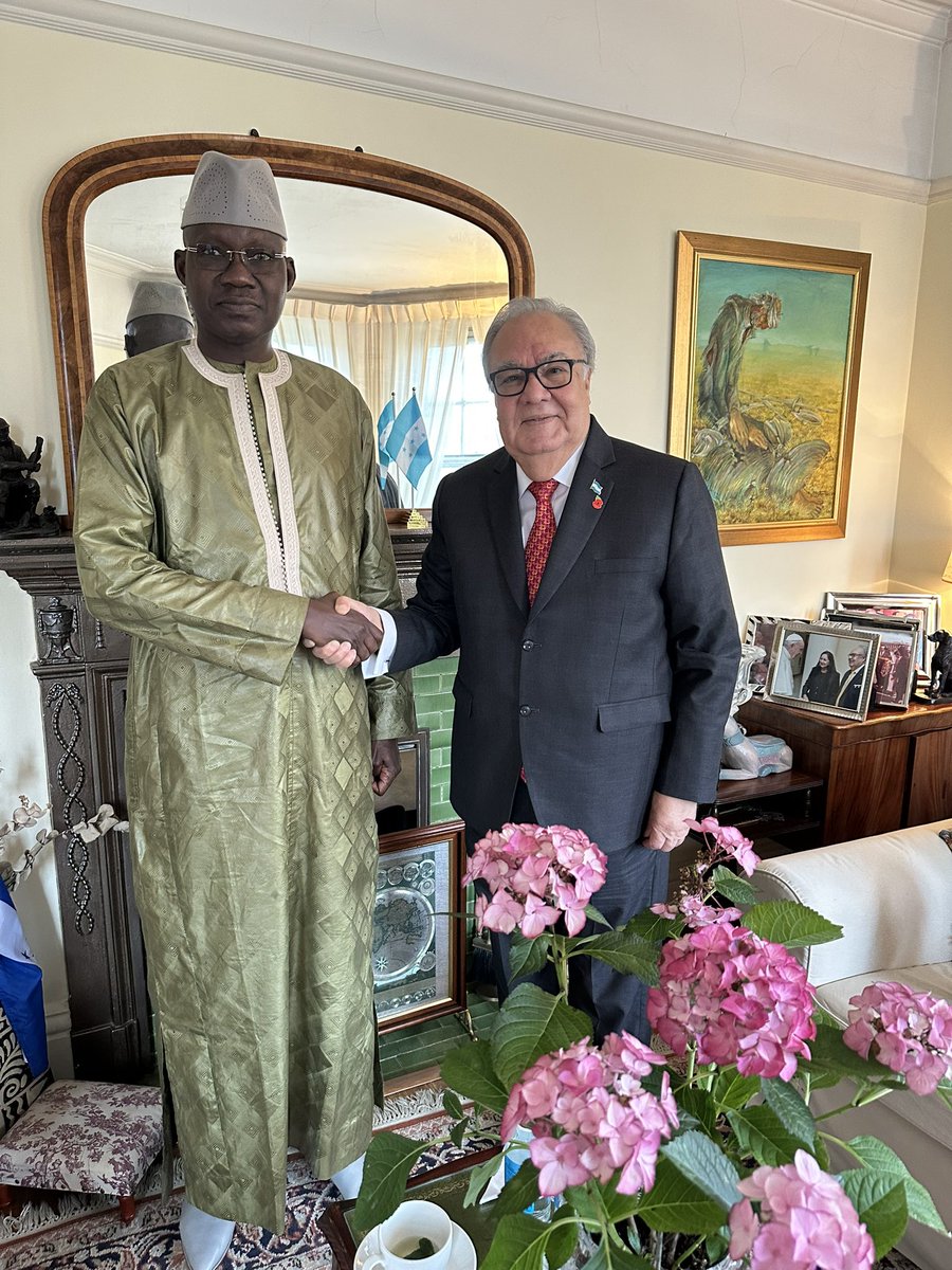 I had the honor of receiving as Dean of the Diplomatic Corps the new Ambassador of Senegal HE General Cheikh WADE. We wish him every success and offered him all our cooperation in carrying out his new duties.