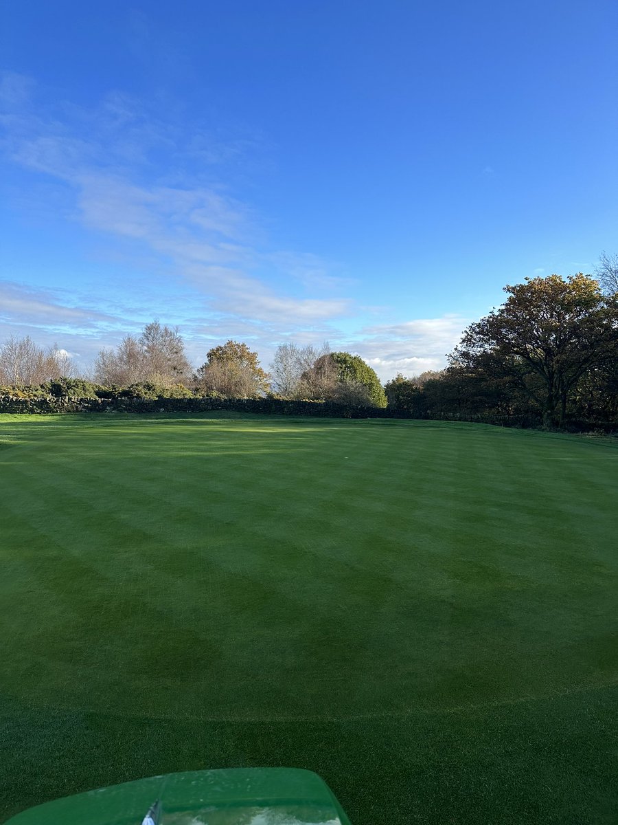 Greens in really great condition for the time of year. #healthy #true