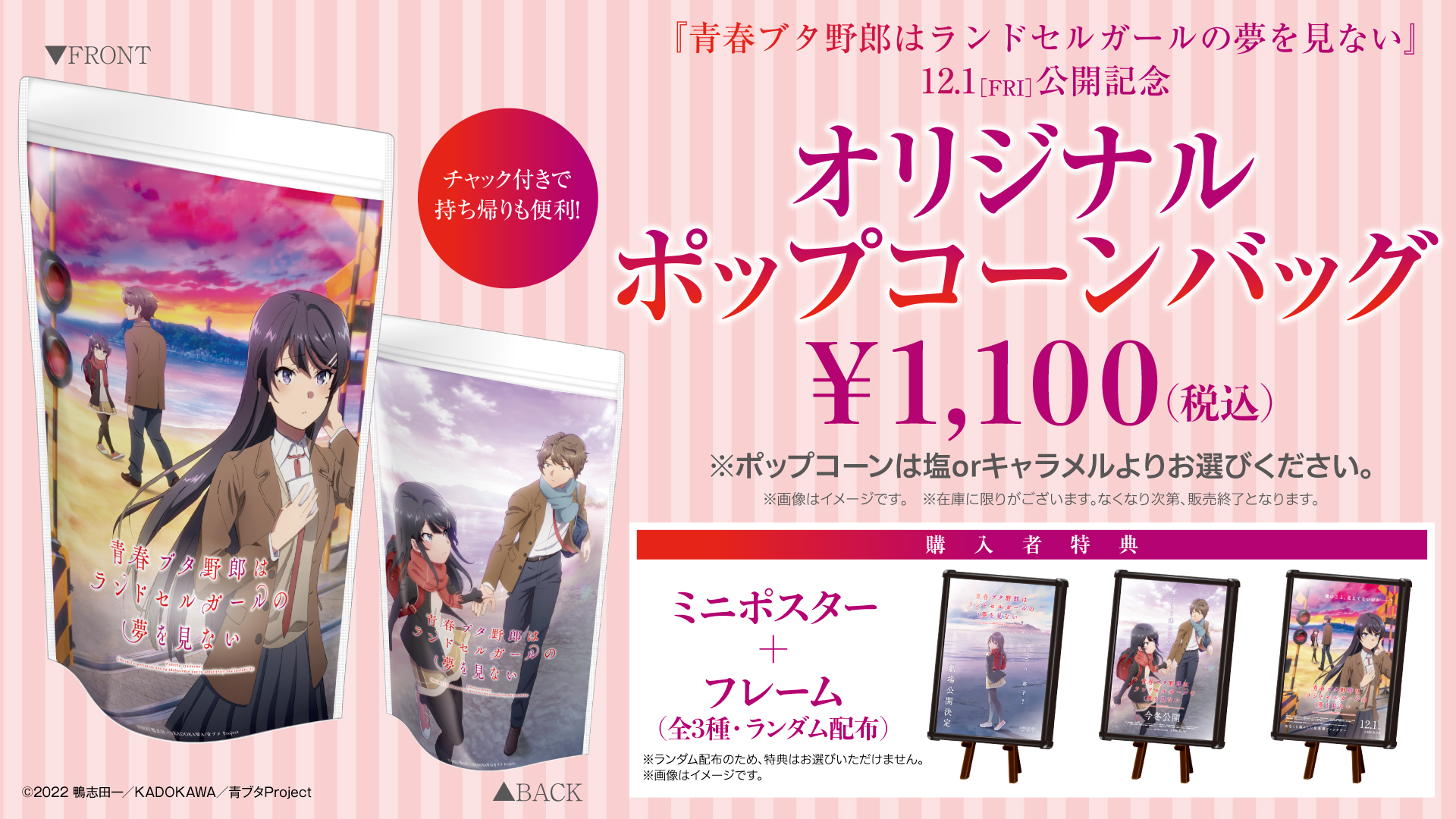 劇場ポスター/2023年公開/ドイツ/オリジナル】青春ブタ野郎は