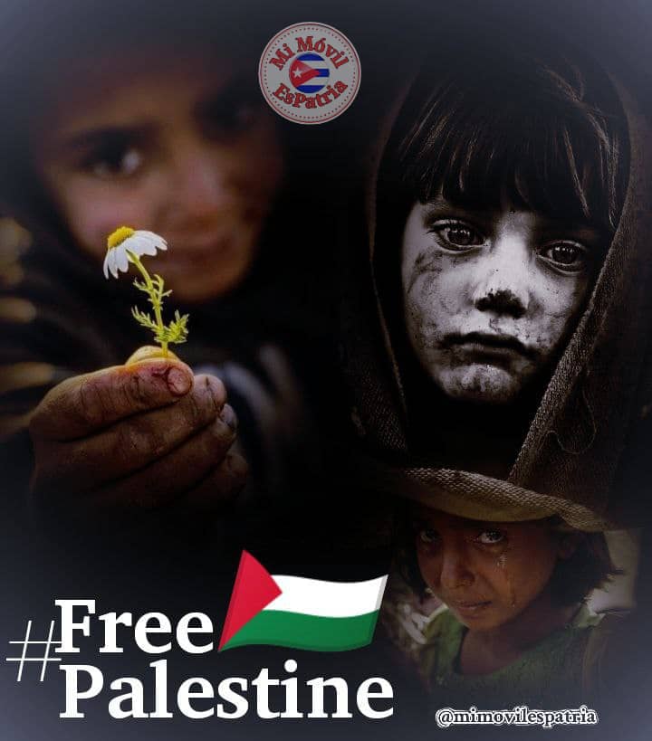 En Gaza, mujeres y niños soportan desproporcionadamente la agresión israelí. 2,326 mujeres y 3,760 niños han perdido la vida, el 67% de todas las víctimas. Es inaceptable. #FreePalestina