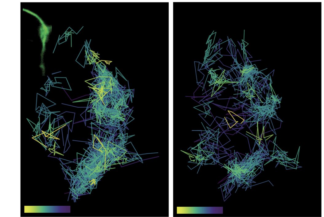 Fred Meunier (@meunierlab) on Twitter photo Did you think that biomolecular condensates were always large: check our last paper on Tau forming nanoscale BMCs at the synapse. Check this out: nature.com/articles/s4146…
<a href="/MeunierLab/">Fred Meunier</a> <a href="/marmol_dr/">Ramón Martínez-Mármol</a> and Shanley Longfield Did you think that biomolecular condensates were always large: check our last paper on Tau forming nanoscale BMCs at the synapse. Check this out: nature.com/articles/s4146…
<a href="/MeunierLab/">Fred Meunier</a> <a href="/marmol_dr/">Ramón Martínez-Mármol</a> and Shanley Longfield