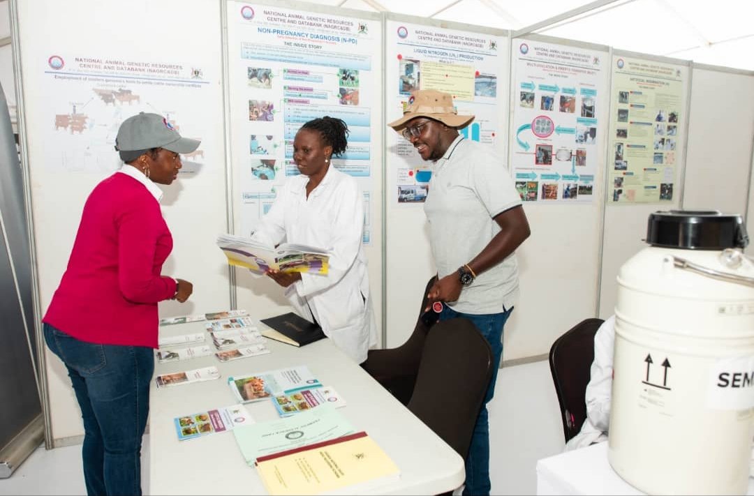 NATIONAL ANIMAL GENETIC RESOURCES CENTRE &DATABANK (@nagrc_db) on Twitter photo <a href="/NAGRC_DB/">NATIONAL ANIMAL GENETIC RESOURCES CENTRE &DATABANK</a> participates in the National Science Week 2023 & showcases modern breeding technologies.
#AnimalGeneticSolutions
#UGTusimbudde23
#NationalScienceWeekUG
<a href="/FrankTumwebazek/">Frank K Tumwebaze,MP: Isaiah 41: 11</a> <a href="/DrRwamiramaBK/">Hon. Rwamirama Bright Kanyontore</a> <a href="/MAAIF_Uganda/">MAAIF 🇺🇬</a> <a href="/STIsecretariat/">Science, Technology and Innovation Secretariat🇺🇬</a> <a href="/beinepeter/">Peter Beine, PhD</a> <a href="/NAGRC_DB/">NATIONAL ANIMAL GENETIC RESOURCES CENTRE &DATABANK</a> participates in the National Science Week 2023 & showcases modern breeding technologies.
#AnimalGeneticSolutions
#UGTusimbudde23
#NationalScienceWeekUG
<a href="/FrankTumwebazek/">Frank K Tumwebaze,MP: Isaiah 41: 11</a> <a href="/DrRwamiramaBK/">Hon. Rwamirama Bright Kanyontore</a> <a href="/MAAIF_Uganda/">MAAIF 🇺🇬</a> <a href="/STIsecretariat/">Science, Technology and Innovation Secretariat🇺🇬</a> <a href="/beinepeter/">Peter Beine, PhD</a>