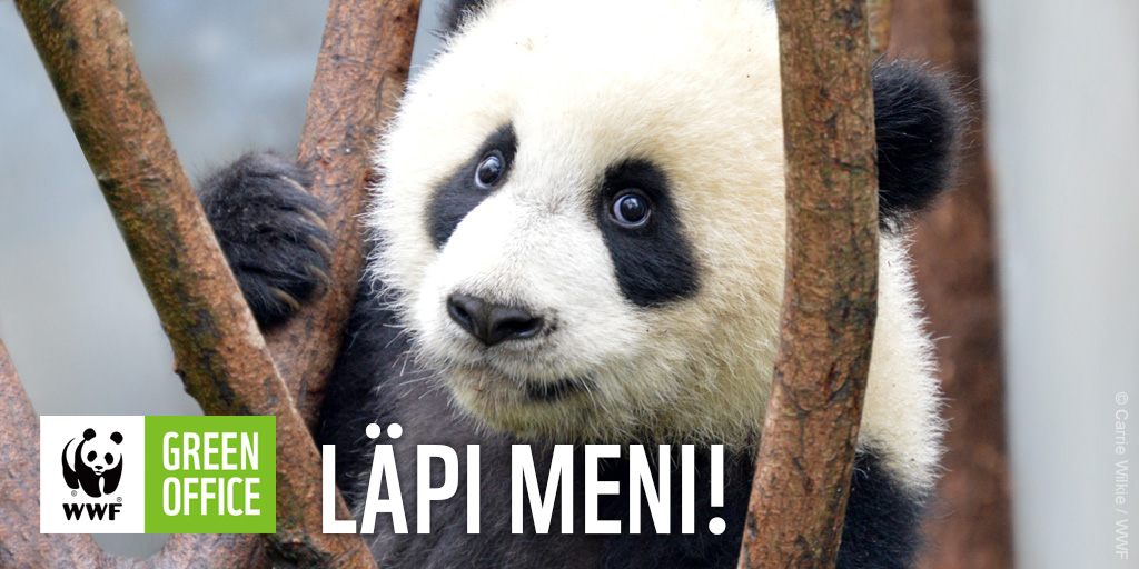 Ilouutinen! #Puolustuskiinteistöt läpäisi #WWFGreenOffice -ensitarkastuksensa Itä-Suomessa Haminan ja Länsi-Suomessa Tampereen osalta. 
Paljon onnea hyvin hoidetusta ympäristötyöstä! 
<a href="/SenaattiK/">Senaatti-kiinteistöt</a>