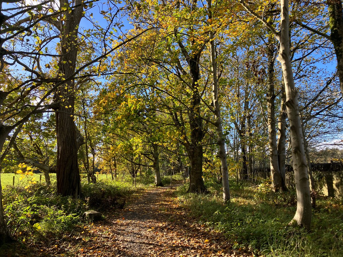 samlhughes1987's tweet image. Walk bach o Y Felinheli ar hyd y fenai #gogs 🏴