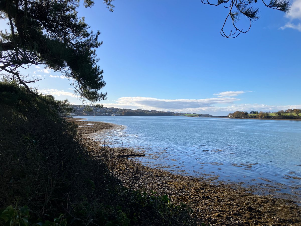 samlhughes1987's tweet image. Walk bach o Y Felinheli ar hyd y fenai #gogs 🏴