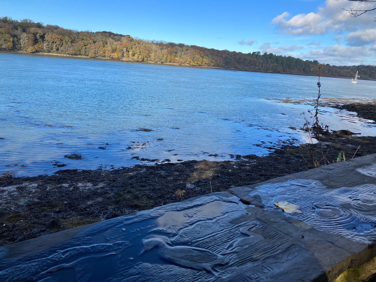 samlhughes1987's tweet image. Walk bach o Y Felinheli ar hyd y fenai #gogs 🏴
