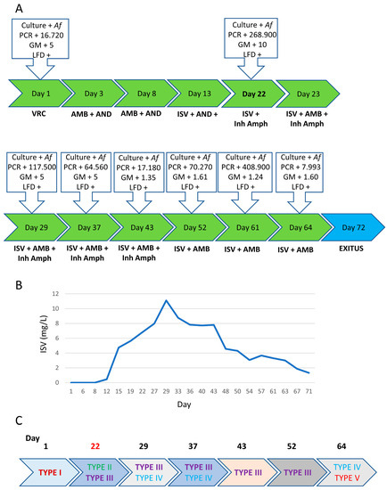 This study identified two haematological patients who presented proven IA and experienced treatment failure, despite being infected with susceptible isolates and receiving appropriate therapy that resulted in blood drug levels reaching therapeutic range. bit.ly/47l2Fem