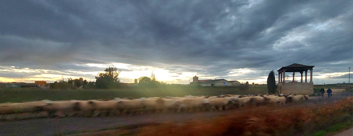Atardece en Becerril de Campos,cae el sol en Tierra de Campos,los pastores van terminando su jornada y de camino a guardar el rebaño pasan por el humilladero. Tantas historias que podrían contarnos,cuanto por aprender y descubrir en los viajes por nuestra querida tierra #Palencia