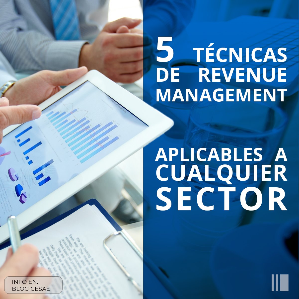 cesaeformacion tweet media