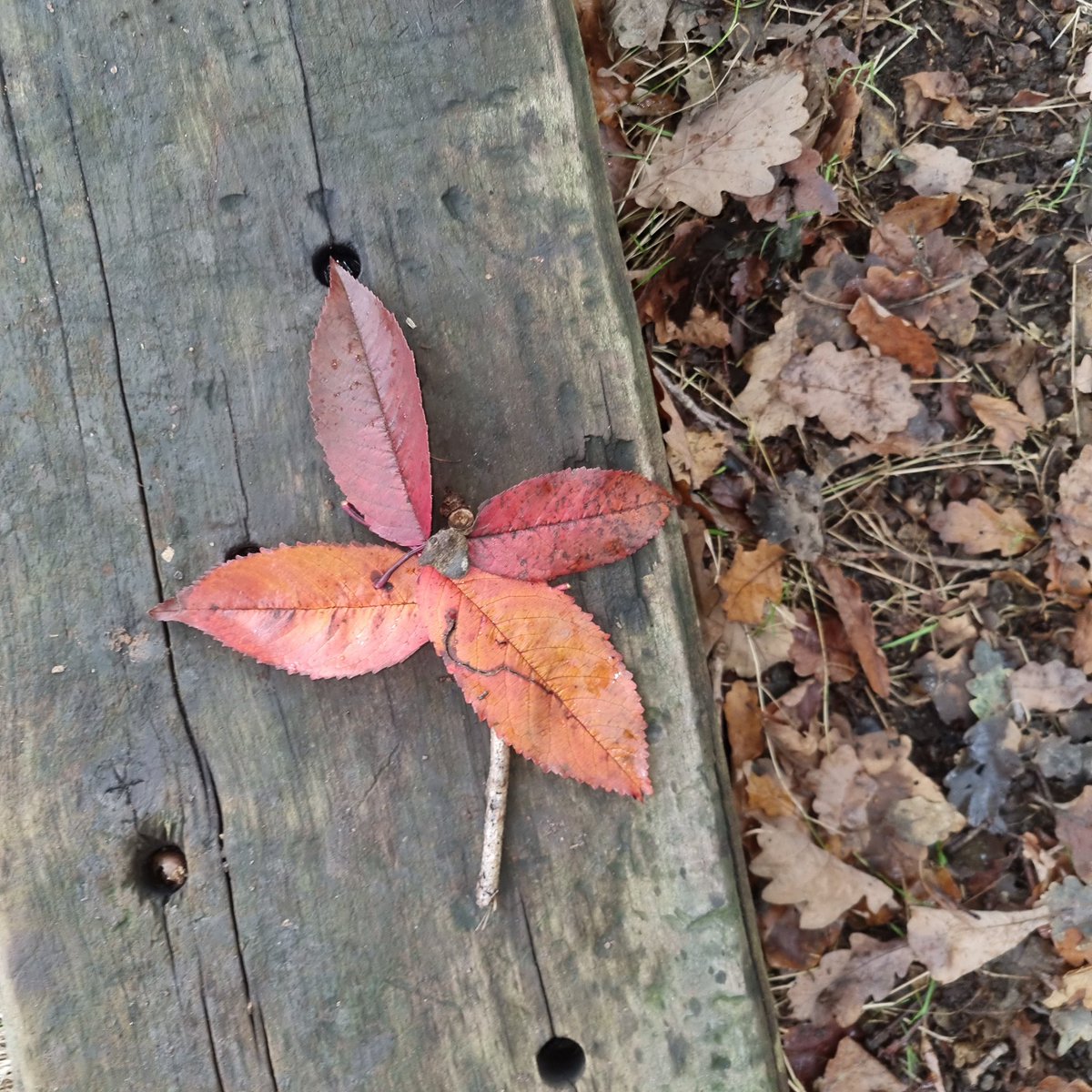 Platform Education tweet media