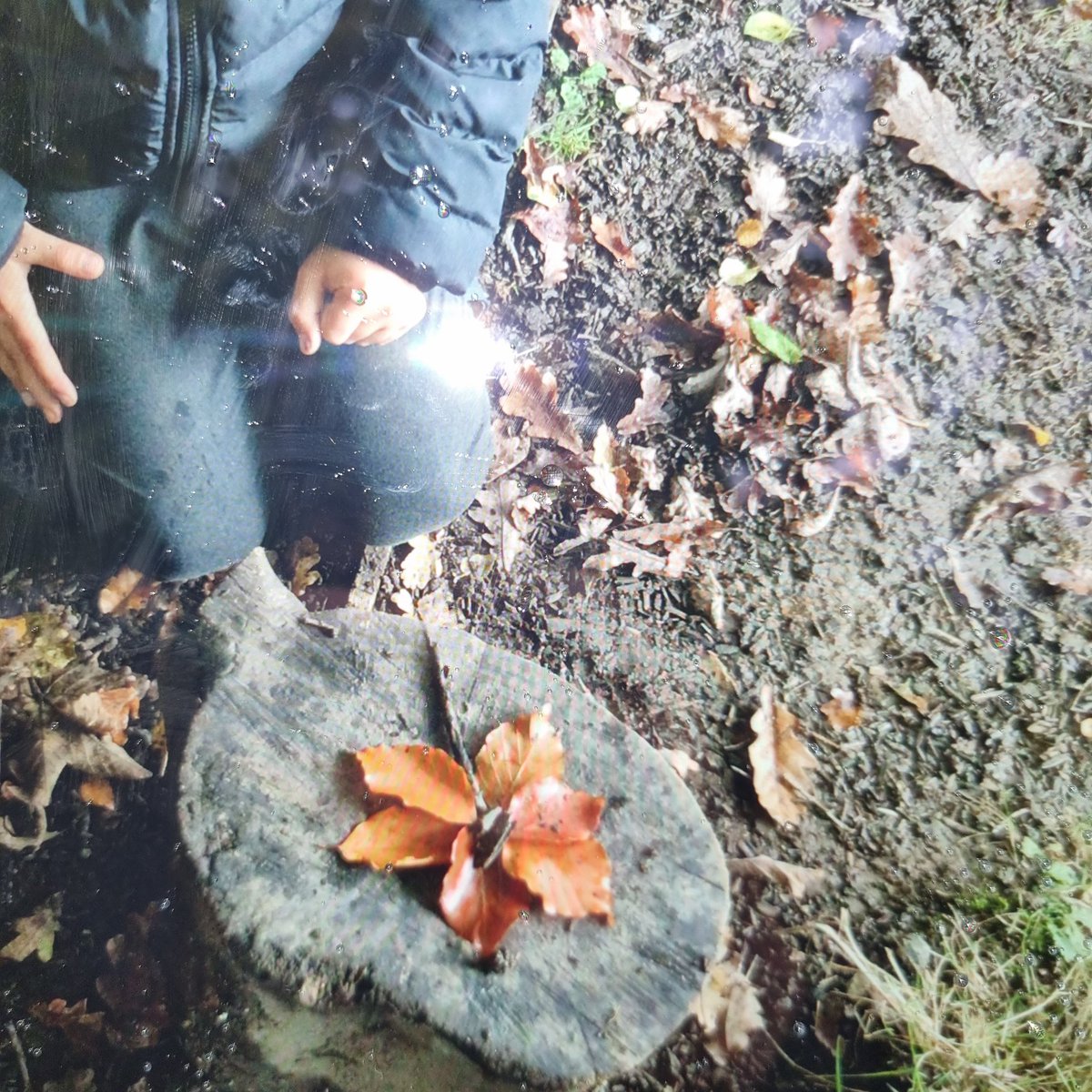 Platform Education tweet media