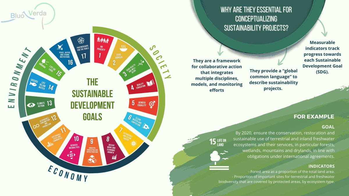 BluoVerda Deutschland e.V. tweet media