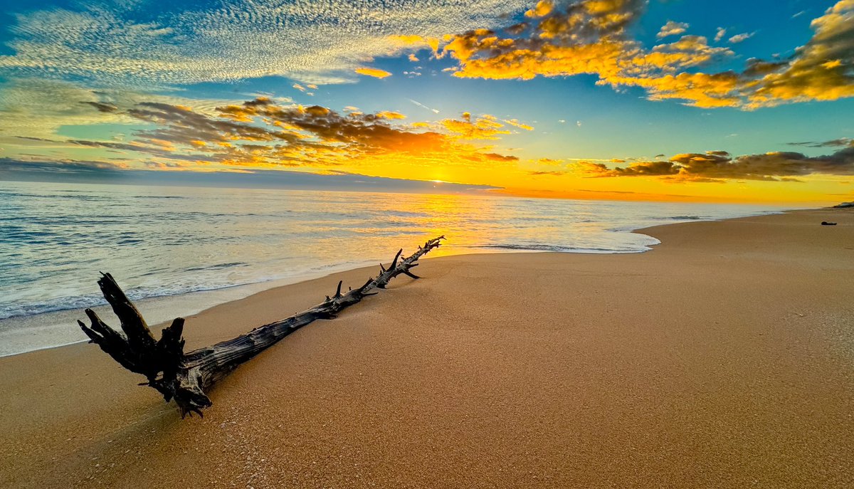 “To live is the rarest thing in the world. Most people exist, that is all.” ― Oscar Wilde