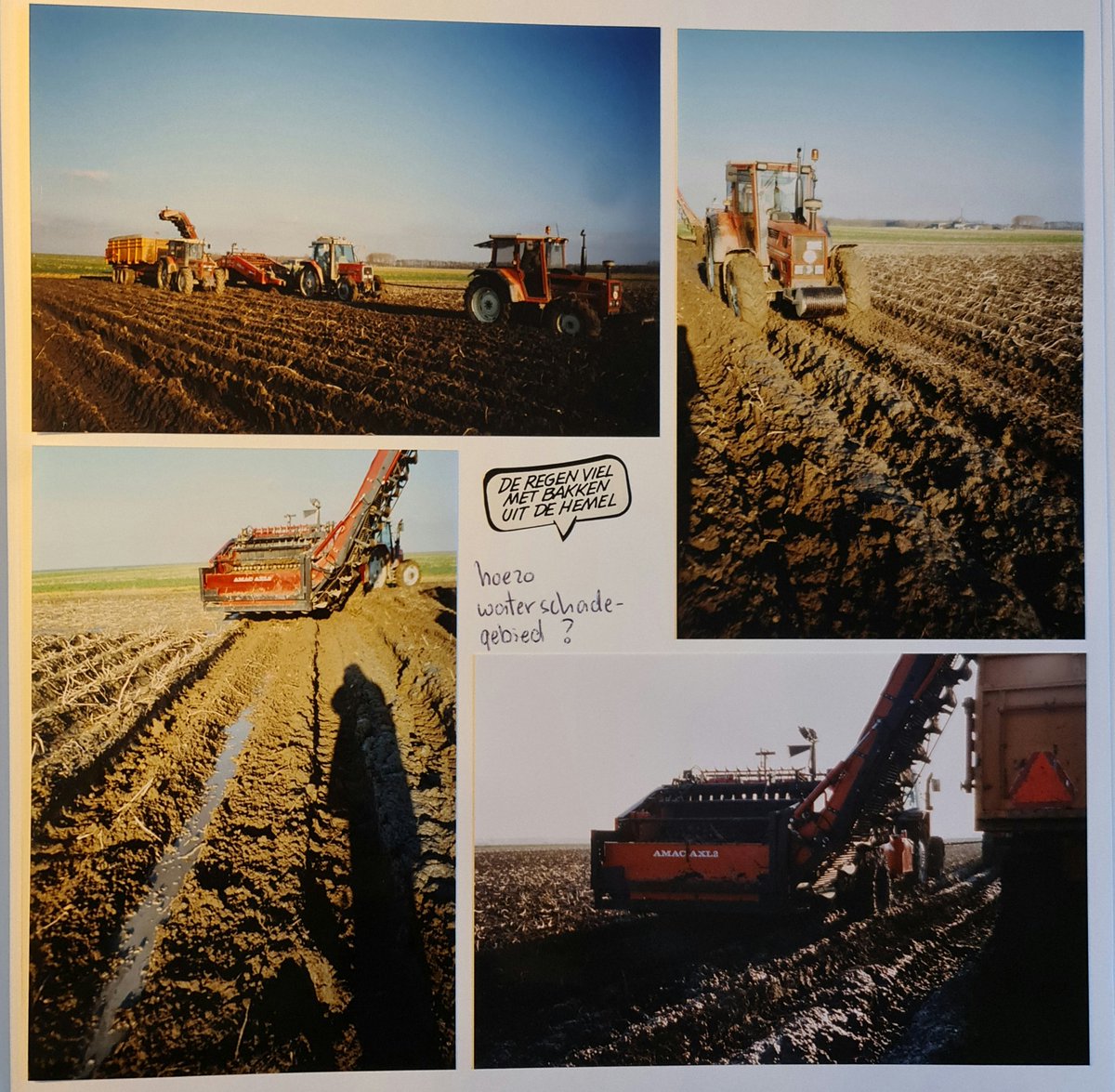 Karin Bergmans-Elshof 🥔🦋 tweet media