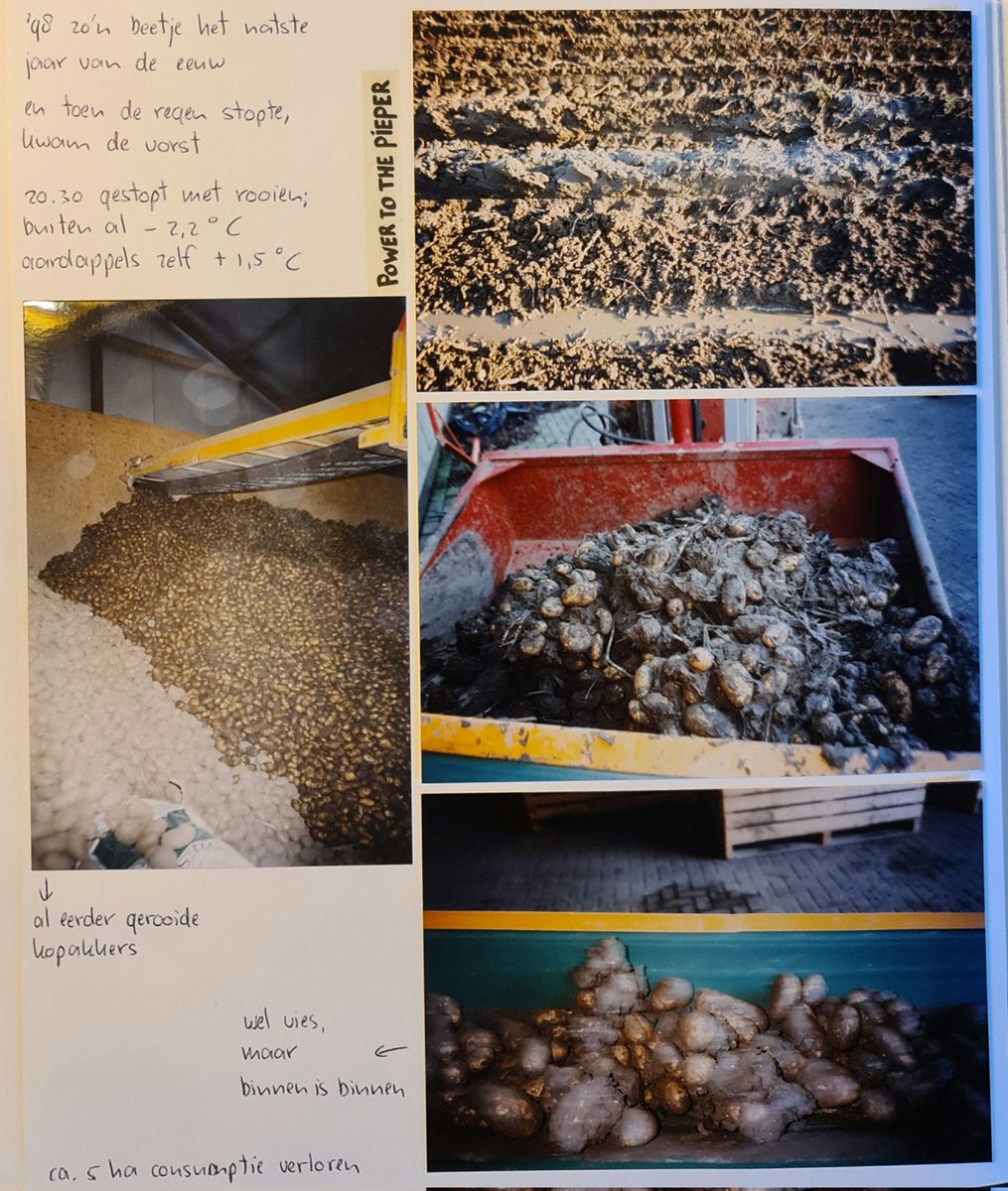 Door de huidige vele en langdurige regen 🌧 komt 1️⃣9️⃣9️⃣8️⃣ weer veel langs hier op X, en #ikwaserbij 😬

Nou mensen, oma vertelt hoor!
Kijk, lees en huiver...

#oogst98 🥔 #gelukkighebbenwedefotosnog 📸