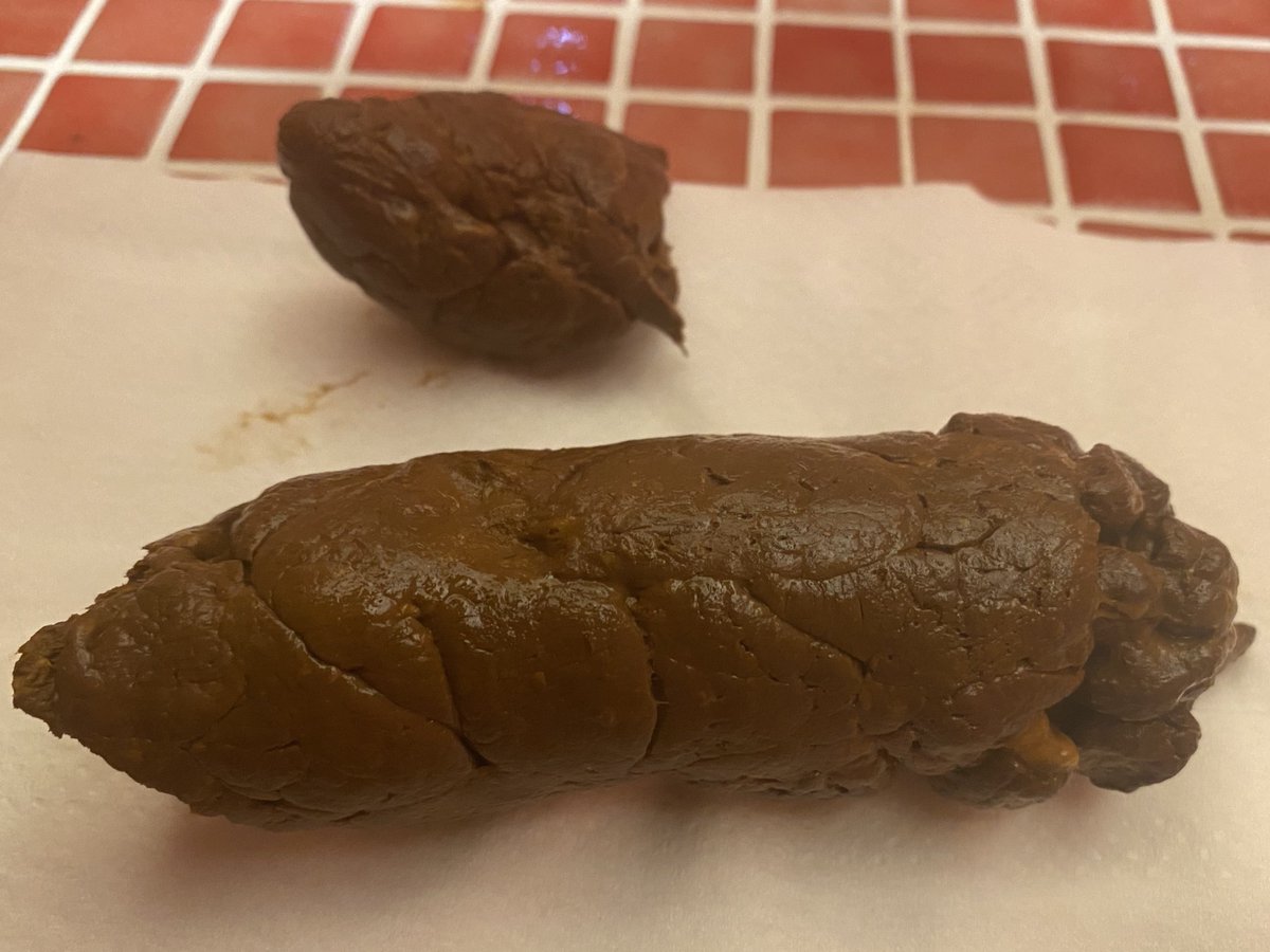 太くて硬いの大好きです💩