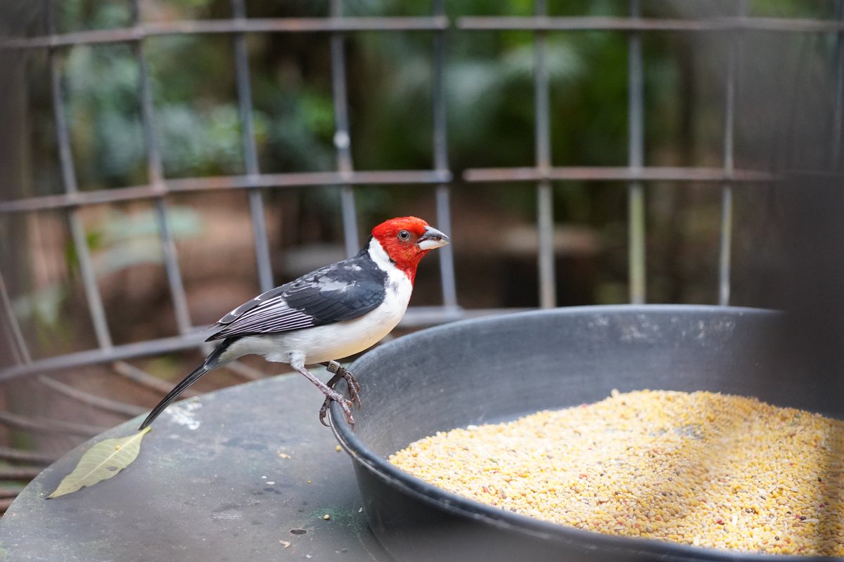 Bom dia!

Como está o clima em sua cidade hoje?