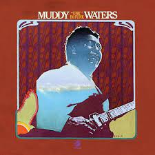 Muddy Waters 'Unk  In Funk' 1974 Chess LP
featuring Mojo Buford on harp (Nov 10, 1929-Oct 11, 211)!

Unk In Funk
youtube.com/playlist?list=…

#Blues #MuddyWaters #harmonica #bluesharp