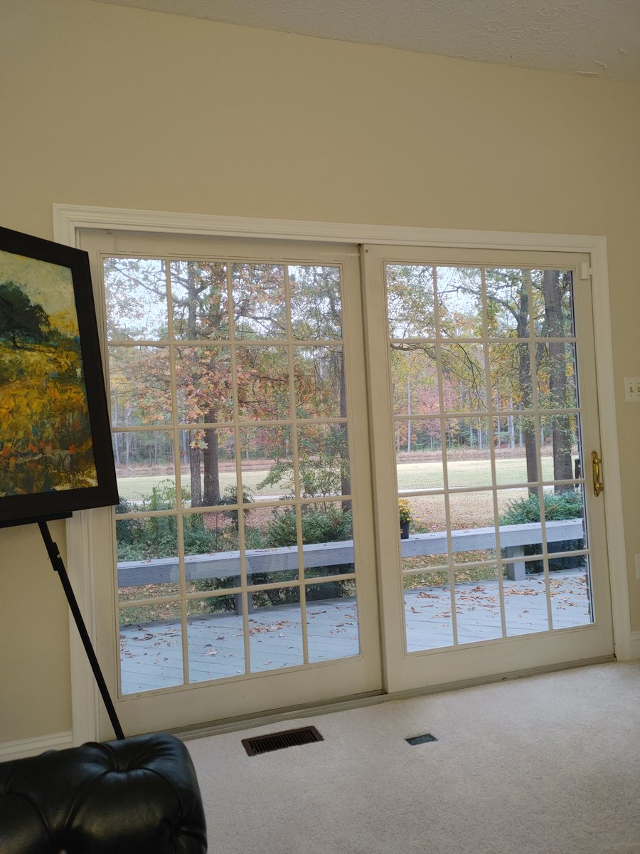 Teleworking view...