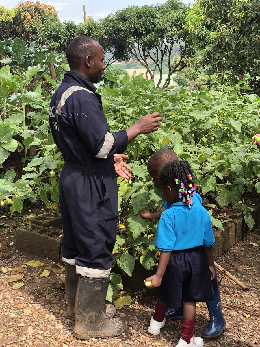 nilebasinsch's tweet photo. Farm Day @ Nile Basin International School. #Farmingasawayoflife https://t.co/lrxyZxuVWd