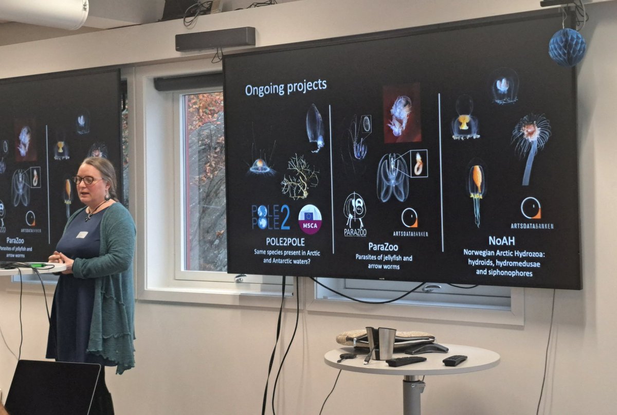 Many thanks @pansdamen for (re)presenting the deep-sea research activities at the @NHMuseum_Bergen @UiB_museet @UiB during today's 'Bergen Bathysphere meeting'. And a massive thanks for featuring so nicely our work at the Cnidaria and Ctenophora Team. @Artsdatabanken @MSCActions