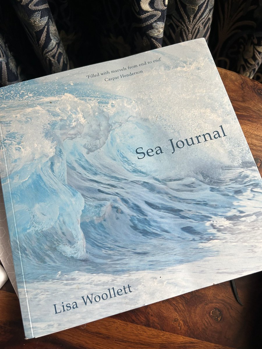 Jenny 🦖🪐🐡 tweet media