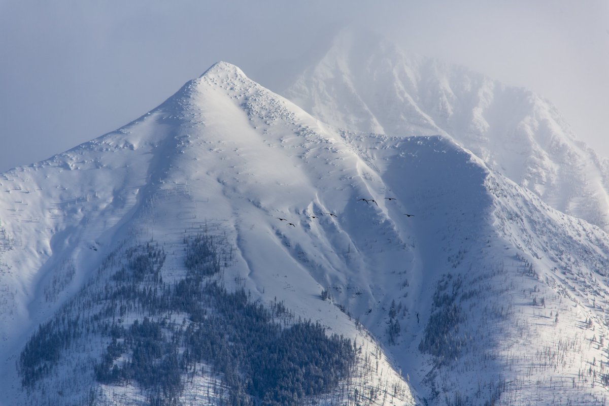 Winter is upon us! Glacier is beautiful in winter but services are limited and cold conditions can pose dangers. Share your winter travel advice in the comments. Check our website nps.gov/glac for updated information.