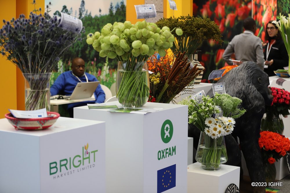 Karirima1's tweet photo. Abahagarariye u #Rwanda banyuzwe n’imigendekere y’imurikagurisha ry’indabo bitabiriye i #Amasterdam 
@Rwanda_TheHague @onduhungirehe @BellaFlowersRw @Duhamic1 @BrightHarvestRW @oxfaminrwanda 

*Inkuru irambuye n’amafoto*👇🏾👇🏾@IGIHE 
https://t.co/cXisgZreHy https://t.co/hds8iFYLKz